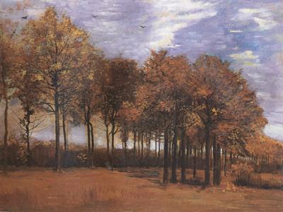 Vincent Van Gogh Autumn Landscape (nn04) oil painting image